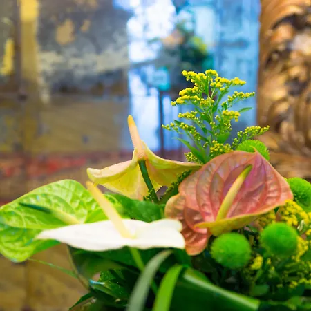 Principe فندق بيبيوني