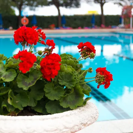 Principe بيبيوني